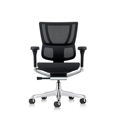 Ergohuman Xtreme Lo Back