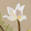 Ornements de fleurs simulées