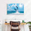 Brampt Dolphin Paradise-108698080