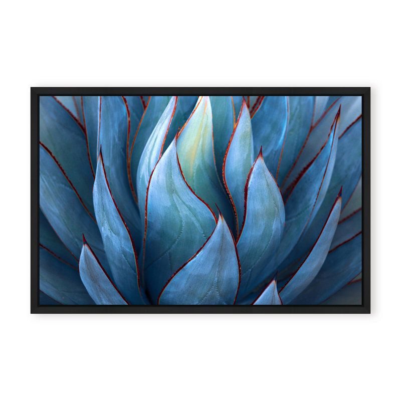 Nature Inspired Blue Agave Abstract by  - Picture Frame Graphic Art on Paper, 16" H x 24" W x 1.125" D, Framed Print, Gold