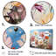 Assortiment de bouquets de prairies sur toile-979580146-979580157