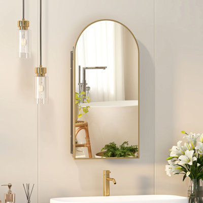 Poulton Medicine Cabinet