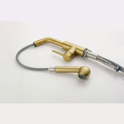 Single Handle Kitchen Sink Faucet With Pull Out Sprayer