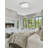Flush Mount-429730677-429730678