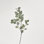 Faux Silver Dollar Eucalyptus Branch