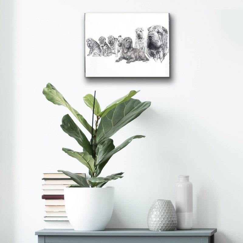 «Growing Up Shar Pei» par Barbara Keith - peinture sans cadre, H 12 po x l 16 po x P 0,13 po