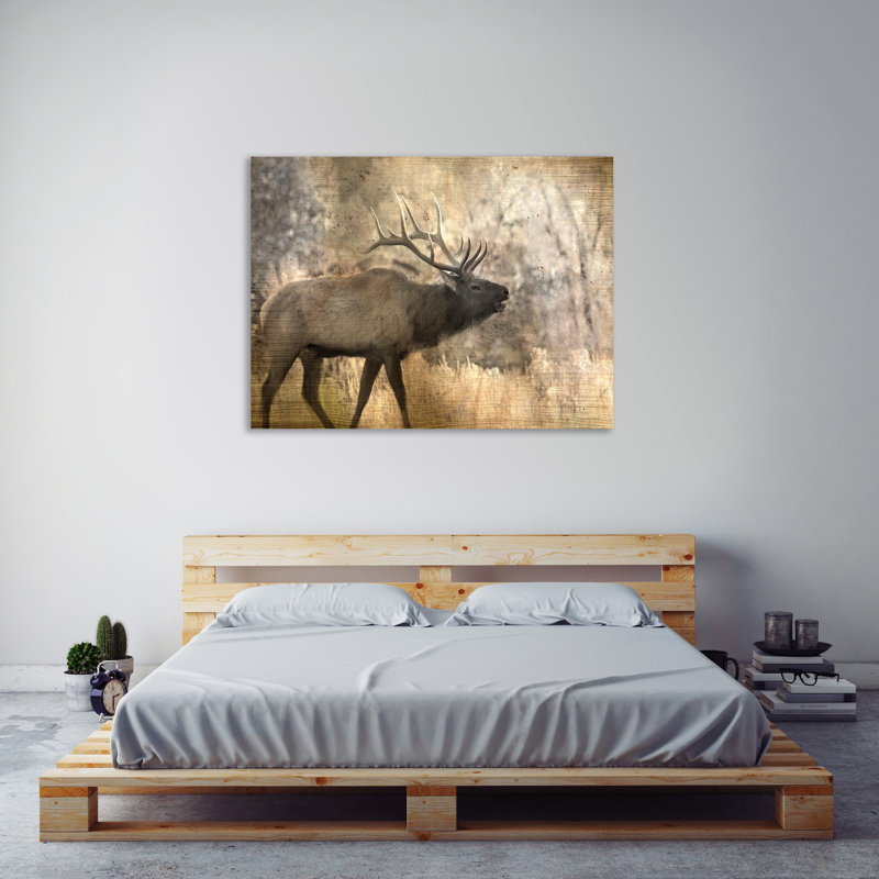 Morning Walk by Kimberly Allen - Wrapped Canvas Print, 61cm H x 81cm W x 4cm D