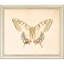 Butterflies S/6 Print by Meagher