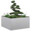 Planter Box-1764276871-1764276874