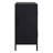 Hanley Black 2 Door Cabinet