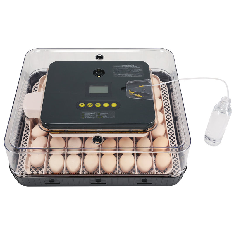 Incubateur 56 avec œufs Incubateur avec contrôle automatique de la température et de l'humidité, capacité de 56 œufs à couver, œufs de poule, œufs de canard, réglage de la température et alarmes