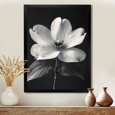 Monochrome Elegant Silhouette Dogwood II - Dogwood Wall Art Print