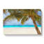 Palm Tree Beach Vol.3 - Wrapped Canvas-61842673
