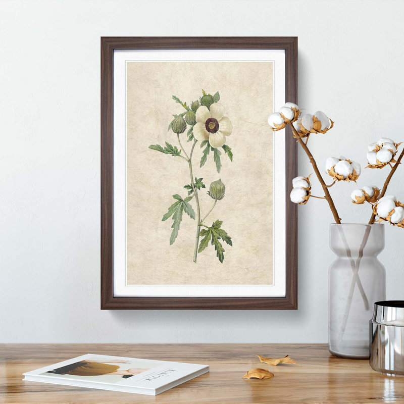 Hibiscus Flower by Pierre-Joseph Redoute - Picture Frame Painting Print, 36cm H x 27cm W x 2cm D, Walnut Framed
