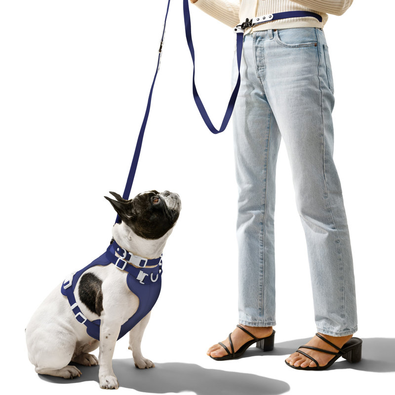 Harnais pour animal de compagnie Arlo, Marine, 37" W x 37" D