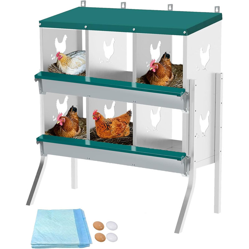 Boîte de nidification pour poulets 6 compartiments avec pattes 10 coussins d’humidité pour animaux de compagnie et 4 œufs roulés