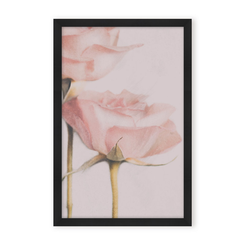 Nature Inspired Two Roses by  - Picture Frame Photograph on Paper, 36" H x 24" W x 1.125" D, Framed Print, White