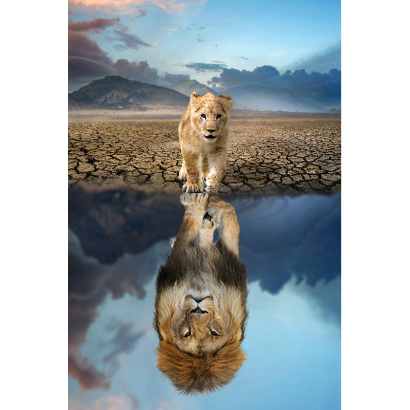 Lion lion regardant l'eau, L 24 po x H 36 po