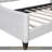 Modern Luxury Tufted Button Daybed,Twin,Beige-107022602-107022600