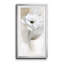 Sheer Elegance I - Cadre photo, reproduction d'art sur papier-1190530554-1190530558