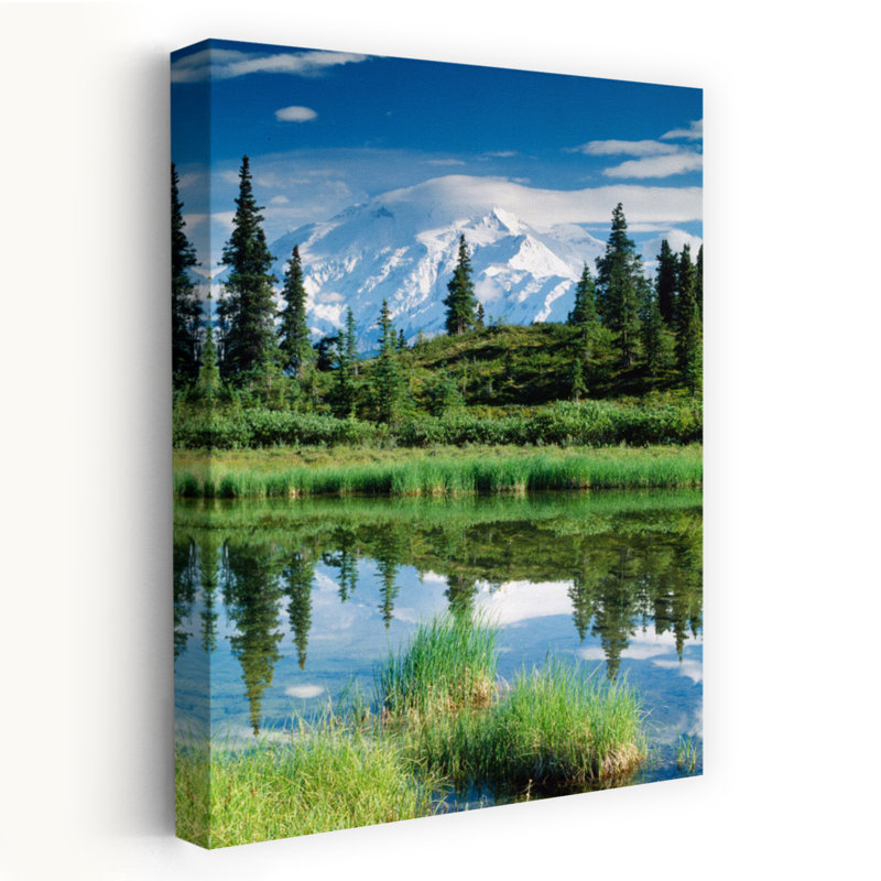 États-Unis, Alaska, mont Mckinley, paysage de pin contemporain abstrait, art de montagne, H 24 po x l 16 po
