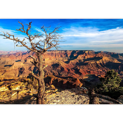 Paysage du Grand Canyon avec un arbre