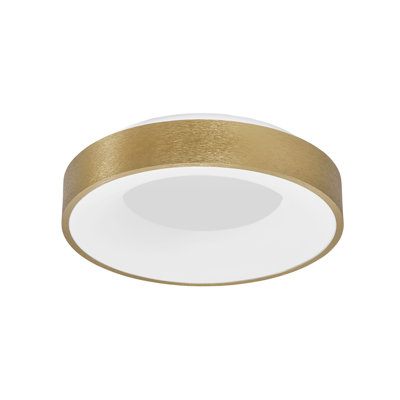 LED Flush Mount
