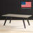 Single Coffee Table
