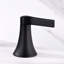 Widespread Bathroom Faucet with Drain Assembly-61067201