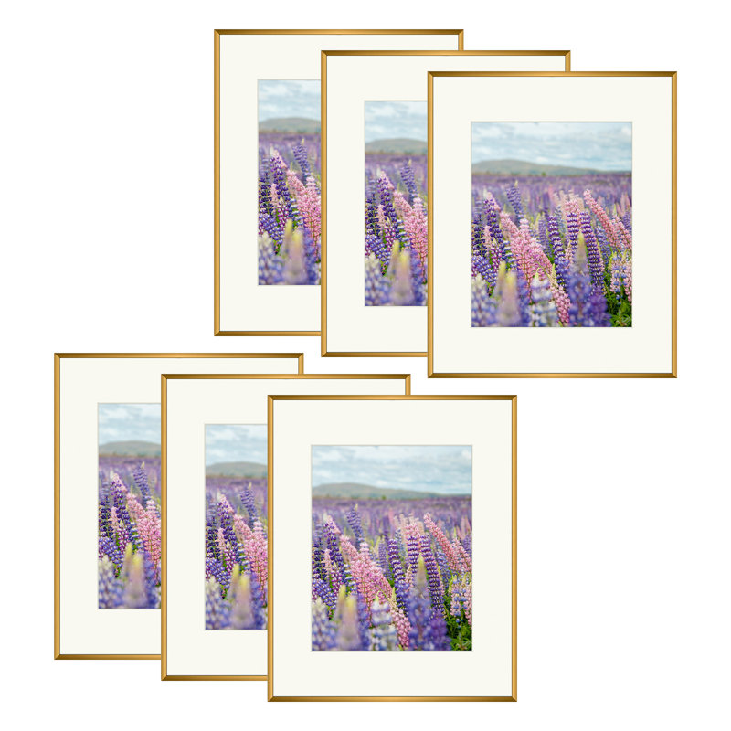 Ensemble de cadres photo en métal avec passe-partout - Basics by Wayfair ™, Bronze, 16 po x 20 po emmêlé à 11 po x 14 po