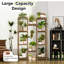 Candyse Plant Stand