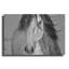 «My Beautiful Mane» par Lisa Dearing-1589941993