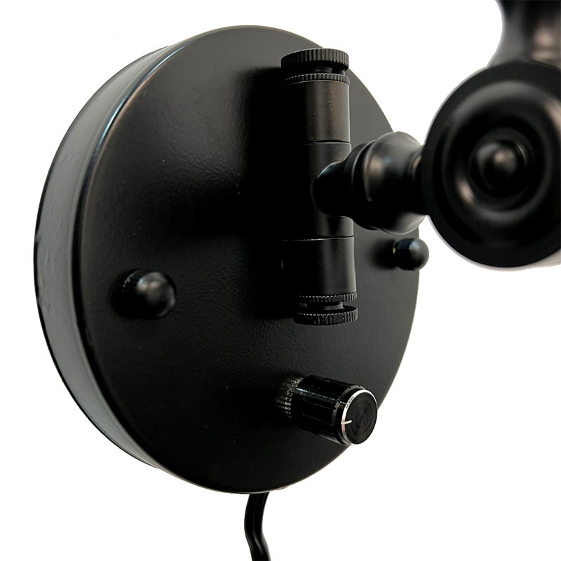 Tarun Plug-in Swing Arm Sconce