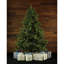 Foxtail 9' Green Pine Artificial Christmas Tree with 1250 Multi-Colored Lighs