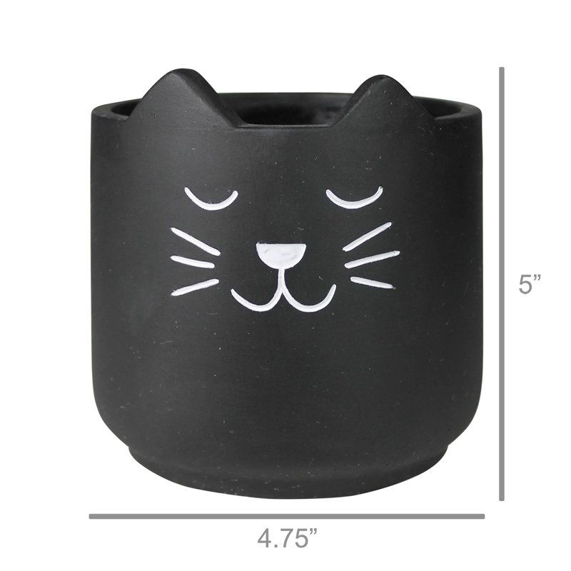 Petit cache-chat Pruitt