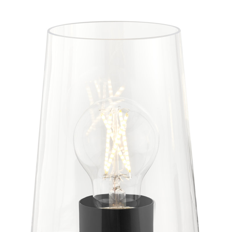 Lustre à trois lumières Celino avec verre transparent, H 18 po x l 18 po x P 18 po, Noir satiné, Trois lumières