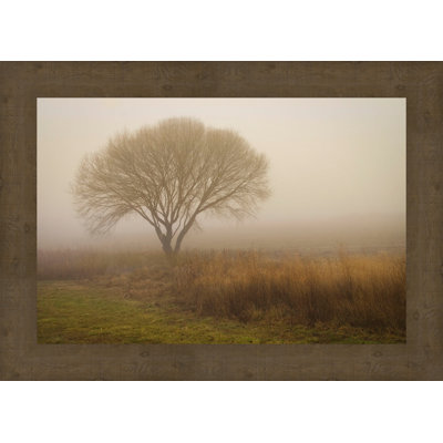 " Tree In Field "