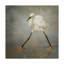 Art mural sur toile tendue - «The Rock Star» par Alfred Forns pour décoration de salon, de chambre à coucher ou de bureau - 24 x 24-1908495805