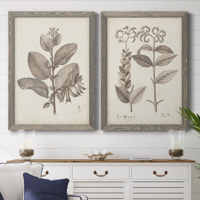 Toile encadrée antique Premium sépia Botanicals - prêt à accrocher
