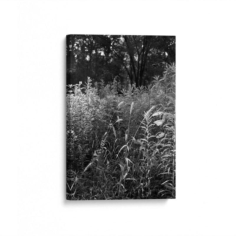 «Wetlands» par Tony Smith, reproduction d'art sur toile, H 18 po x l 12 po