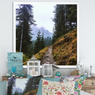 " Mountain Hiking In Summer I "