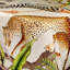 Ardmore Cotton Tablecloth-2056231508-2056231528