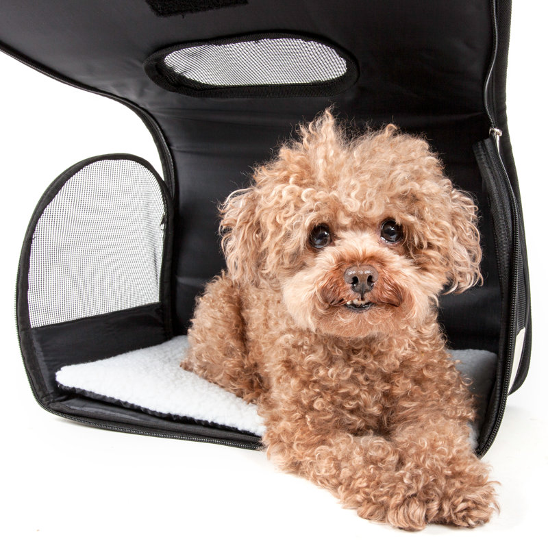 Cage de transport pour animal de compagnie pliable avec fermeture à glissière Pet Life, Motif d'empreintes de pattes
