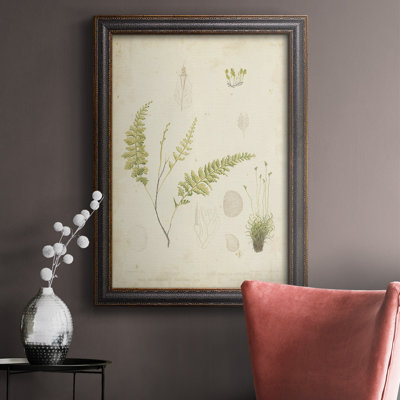 Fern Study IV " Fern Study IV "