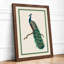 Elegant Peacock Botanical - Framed Print-391231555-391231567