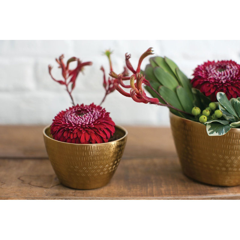 Pot à fleurs en métal Shaletha Jema, H 2,75 po x l 4,5 po x P 4,5 po