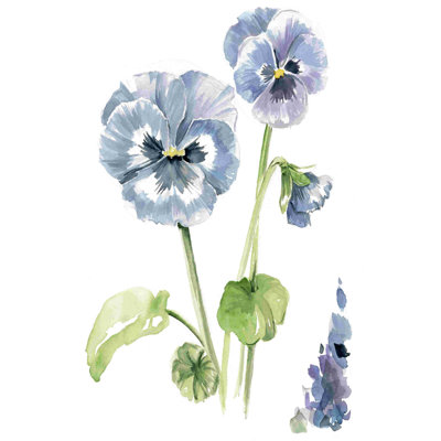 " Pansy Study II " by Jennifer Paxton Parker Painting Print
