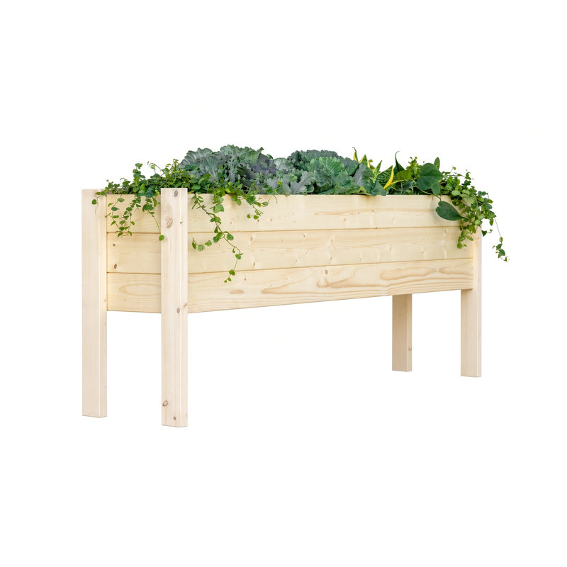Fidelas Outdoor Elevated Planter, 60"L X 12" W X 22"H