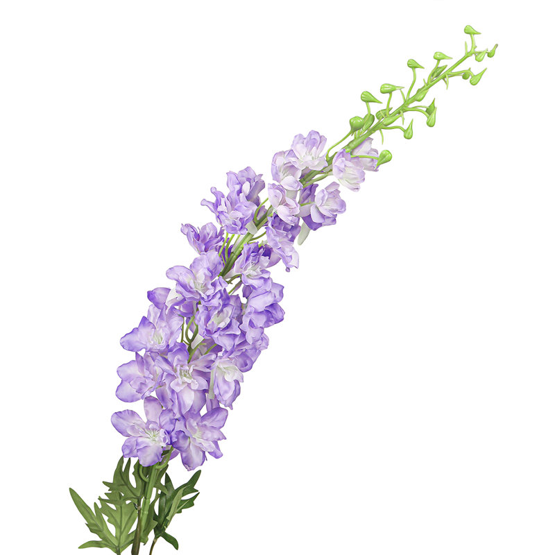 Brume artificielle Delphinium, Lavande