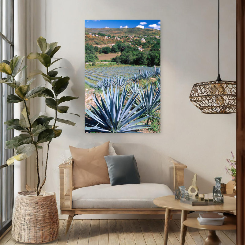 Téquila, agave, culture, Mexique, paysage contemporain contemporain, art, H 48 po x l 32 po